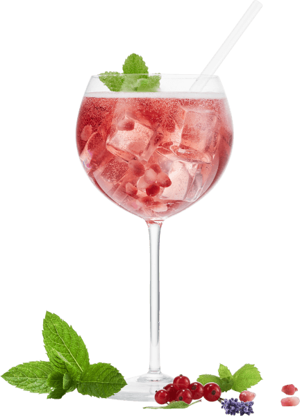 Élyse Rosé-Sprizz (Élyse Rosé-Spritzer)-Cocktailglas mit Minze und Cranberries